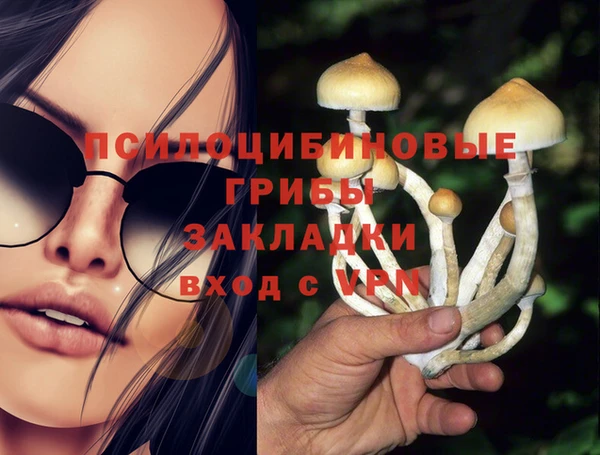 дживик Богородицк