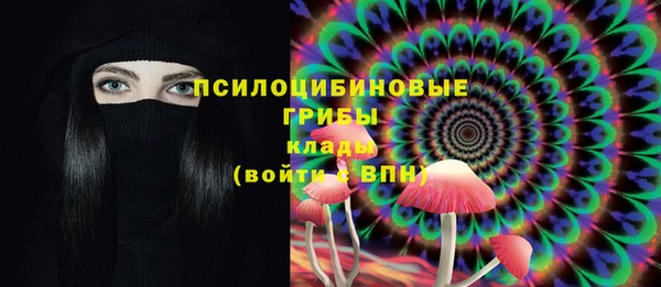 дживик Богородицк
