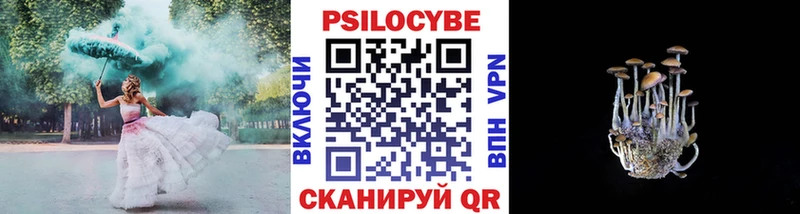 Галлюциногенные грибы Cubensis  hydra зеркало  Нефтеюганск  купить  цена 